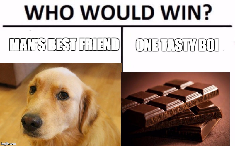 MAN'S BEST FRIEND; ONE TASTY BOI | image tagged in who would win | made w/ Imgflip meme maker