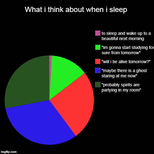 What i think about when i sleep | "probably spirits are partying in my room", "maybe there is a ghost staring at me now", "will i be alive t | image tagged in funny,pie charts,sleep,deep thoughts,true story,ghosts | made w/ Imgflip chart maker