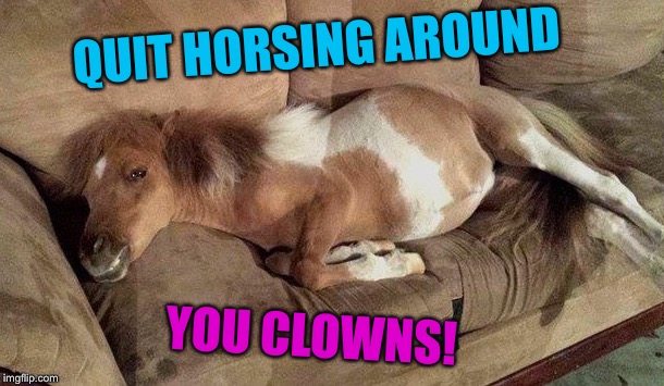 YOU CLOWNS! QUIT HORSING AROUND | made w/ Imgflip meme maker