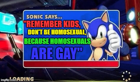 Sonic Says | "REMEMBER KIDS, DON'T BE HOMOSEXUAL, BECAUSE HOMOSEXUALS; ARE GAY" | image tagged in sonic says | made w/ Imgflip meme maker