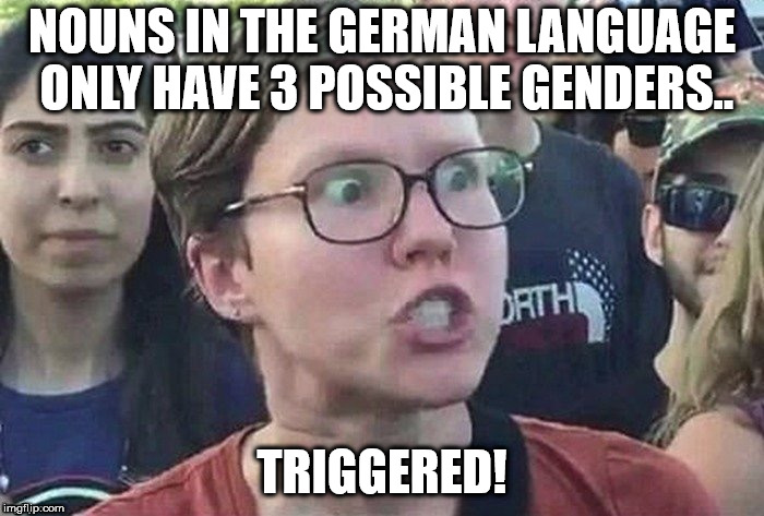 Nouns in German gender | NOUNS IN THE GERMAN LANGUAGE ONLY HAVE 3 POSSIBLE GENDERS.. TRIGGERED! | image tagged in triggered liberal,transgender | made w/ Imgflip meme maker
