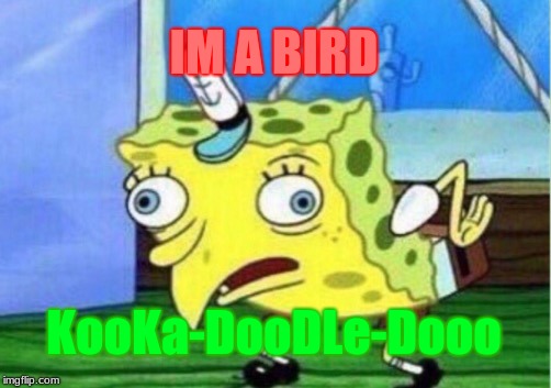 Mocking Spongebob | IM A BIRD; KooKa-DooDLe-Dooo | image tagged in memes,mocking spongebob | made w/ Imgflip meme maker