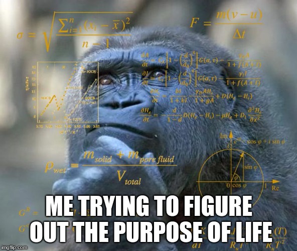 Thinking Math Ape | ME TRYING TO FIGURE OUT THE PURPOSE OF LIFE | image tagged in thinking math ape | made w/ Imgflip meme maker