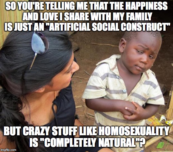 So you mean to tell me |  SO YOU'RE TELLING ME THAT THE HAPPINESS AND LOVE I SHARE WITH MY FAMILY IS JUST AN "ARTIFICIAL SOCIAL CONSTRUCT"; BUT CRAZY STUFF LIKE HOMOSEXUALITY IS "COMPLETELY NATURAL"? | image tagged in so you mean to tell me,memes,funny,liberals,liberal logic | made w/ Imgflip meme maker
