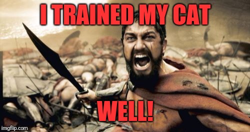 Sparta Leonidas Meme | I TRAINED MY CAT WELL! | image tagged in memes,sparta leonidas | made w/ Imgflip meme maker