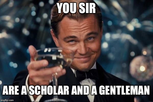 Leonardo Dicaprio Cheers Meme | YOU SIR ARE A SCHOLAR AND A GENTLEMAN | image tagged in memes,leonardo dicaprio cheers | made w/ Imgflip meme maker