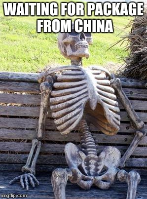 Waiting Skeleton | WAITING FOR PACKAGE FROM CHINA | image tagged in memes,waiting skeleton | made w/ Imgflip meme maker