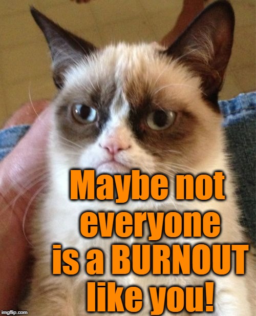 Grumpy Cat Meme | Maybe not everyone is a BURNOUT like you! | image tagged in memes,grumpy cat | made w/ Imgflip meme maker