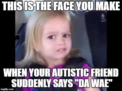 This is the face you make | THIS IS THE FACE YOU MAKE; WHEN YOUR AUTISTIC FRIEND SUDDENLY SAYS "DA WAE" | image tagged in wtf | made w/ Imgflip meme maker