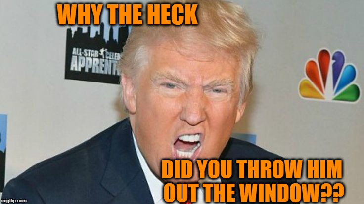 WHY THE HECK DID YOU THROW HIM OUT THE WINDOW?? | image tagged in trump mad | made w/ Imgflip meme maker