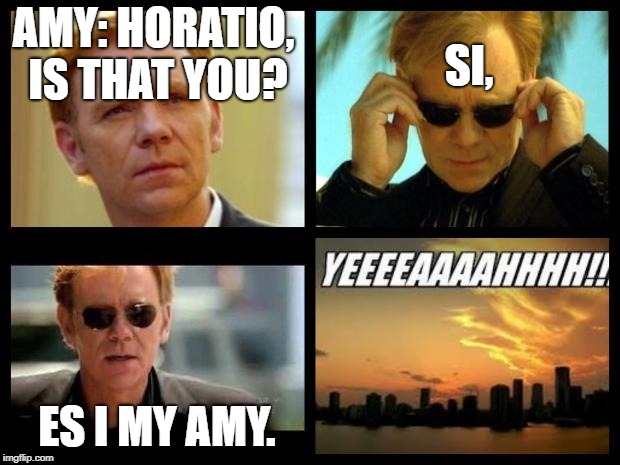 CSI | AMY: HORATIO, IS THAT YOU? SI, ES I MY AMY. | image tagged in csi | made w/ Imgflip meme maker