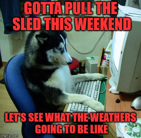 I Have No Idea What I Am Doing Meme | GOTTA PULL THE SLED THIS WEEKEND; LET'S SEE WHAT THE WEATHERS GOING TO BE LIKE | image tagged in memes,i have no idea what i am doing | made w/ Imgflip meme maker