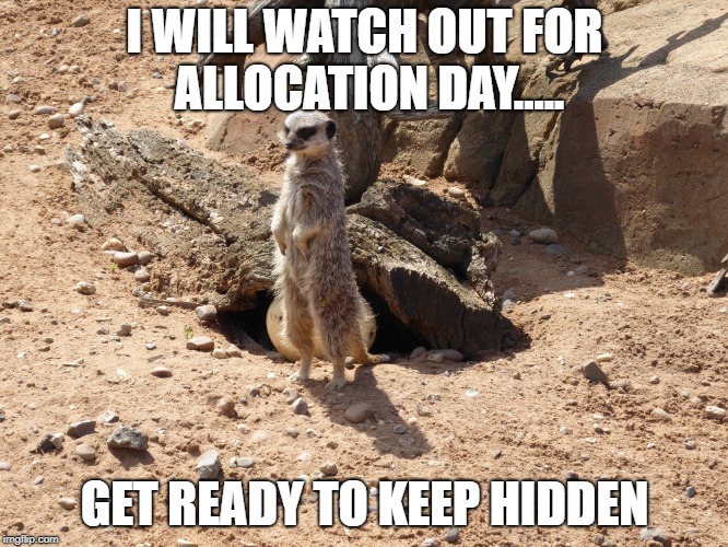 I WILL WATCH OUT FOR ALLOCATION DAY..... GET READY TO KEEP HIDDEN | image tagged in memes | made w/ Imgflip meme maker