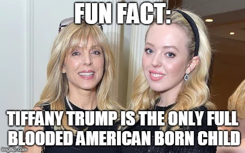 Tiffany trump is the only full blooded american born child | FUN FACT:; TIFFANY TRUMP IS THE ONLY FULL BLOODED AMERICAN BORN CHILD | image tagged in tiffany trump is the only full blooded american born child,fun fact | made w/ Imgflip meme maker