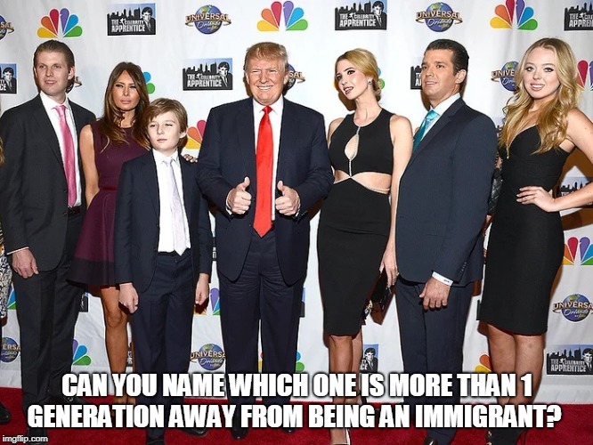 can you name which one is more than 1 generation away from being an immigrant?   | CAN YOU NAME WHICH ONE IS MORE THAN 1 GENERATION AWAY FROM BEING AN IMMIGRANT? | image tagged in can you name which one is more than 1 generation away from being an immigrant | made w/ Imgflip meme maker