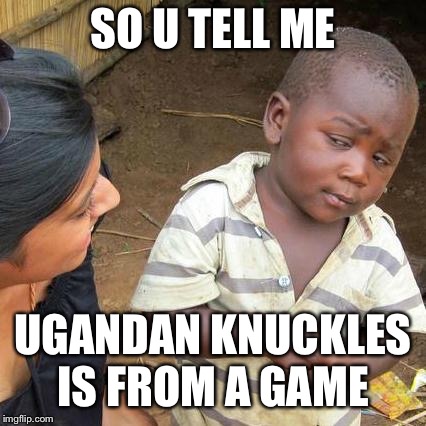 Third World Skeptical Kid Meme | SO U TELL ME; UGANDAN KNUCKLES IS FROM A GAME | image tagged in memes,third world skeptical kid | made w/ Imgflip meme maker
