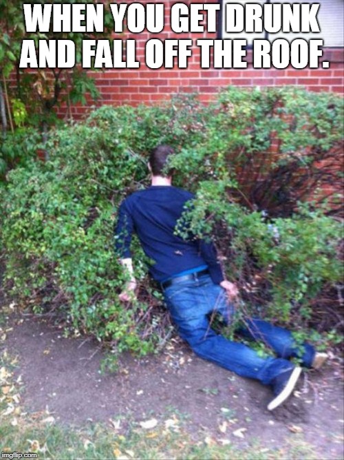 Drunk and passed out | WHEN YOU GET DRUNK AND FALL OFF THE ROOF. | image tagged in drunk and passed out | made w/ Imgflip meme maker