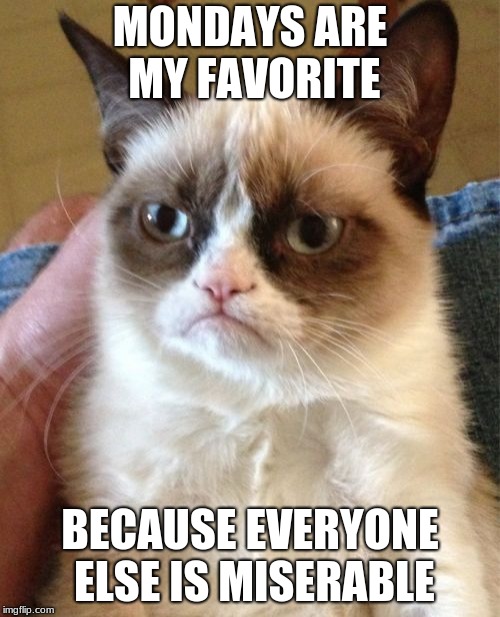 Grumpy Cat | MONDAYS ARE MY FAVORITE; BECAUSE EVERYONE ELSE IS MISERABLE | image tagged in memes,grumpy cat | made w/ Imgflip meme maker