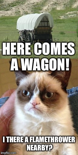 Grumpy Wagon | HERE COMES A WAGON! I THERE A FLAMETHROWER NEARBY? | image tagged in grumpy cat | made w/ Imgflip meme maker