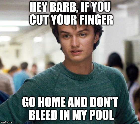 Steve Stranger Things | HEY BARB, IF YOU CUT YOUR FINGER; GO HOME AND DON'T BLEED IN MY POOL | image tagged in steve stranger things,memes,stranger things,pool | made w/ Imgflip meme maker