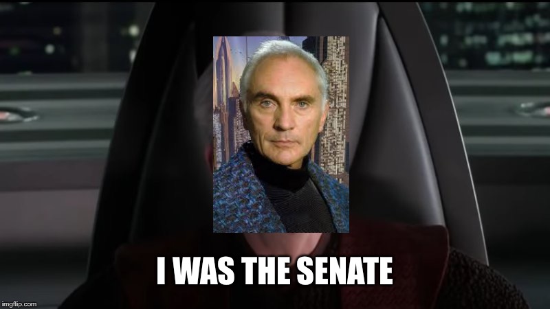 Palpatine I am the senate | I WAS THE SENATE | image tagged in palpatine i am the senate | made w/ Imgflip meme maker