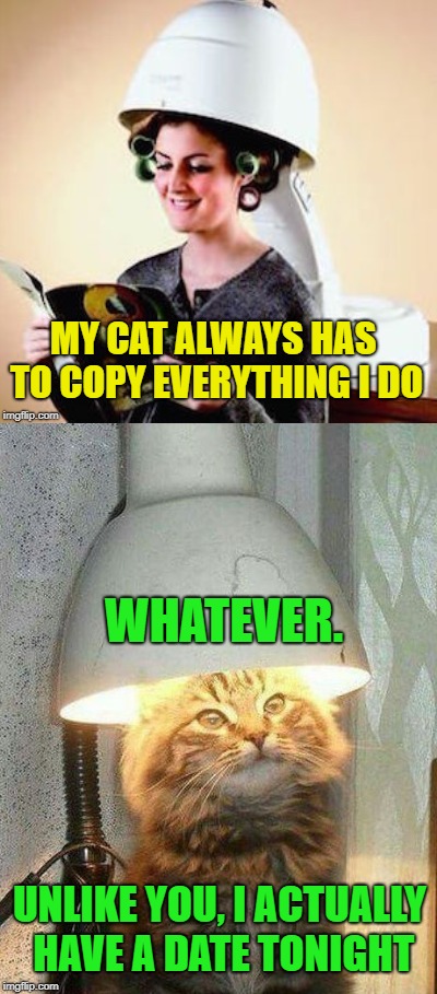 Copycat  | MY CAT ALWAYS HAS TO COPY EVERYTHING I DO; WHATEVER. UNLIKE YOU, I ACTUALLY HAVE A DATE TONIGHT | image tagged in funny memes,cat,hair salon,date | made w/ Imgflip meme maker