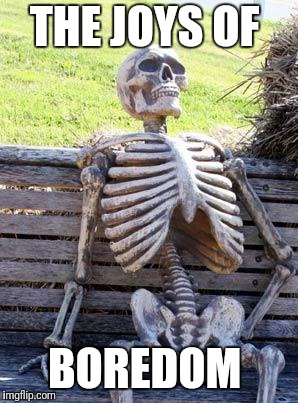 Waiting Skeleton Meme | THE JOYS OF BOREDOM | image tagged in memes,waiting skeleton | made w/ Imgflip meme maker