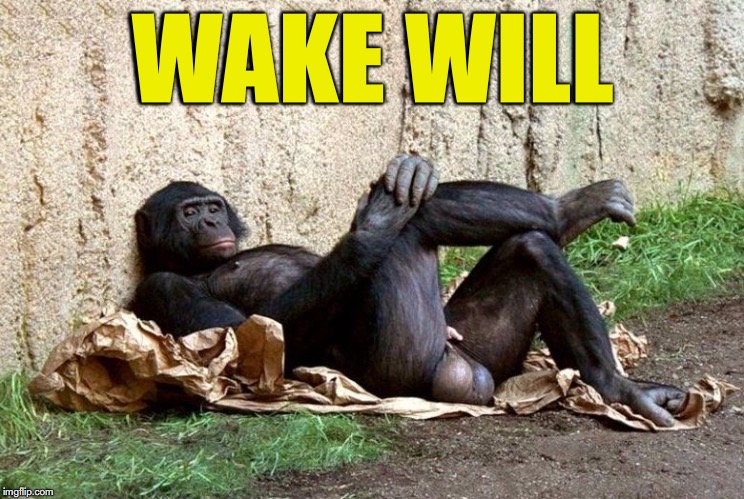 WAKE WILL | made w/ Imgflip meme maker