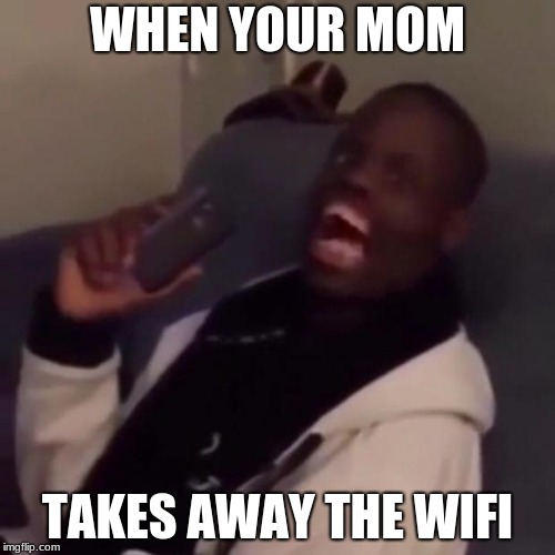 Deez Nuts | WHEN YOUR MOM; TAKES AWAY THE WIFI | image tagged in deez nuts | made w/ Imgflip meme maker