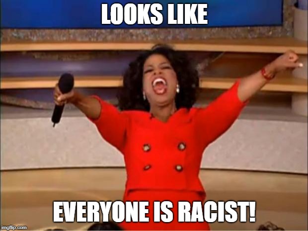 Oprah You Get A Meme | LOOKS LIKE EVERYONE IS RACIST! | image tagged in memes,oprah you get a | made w/ Imgflip meme maker