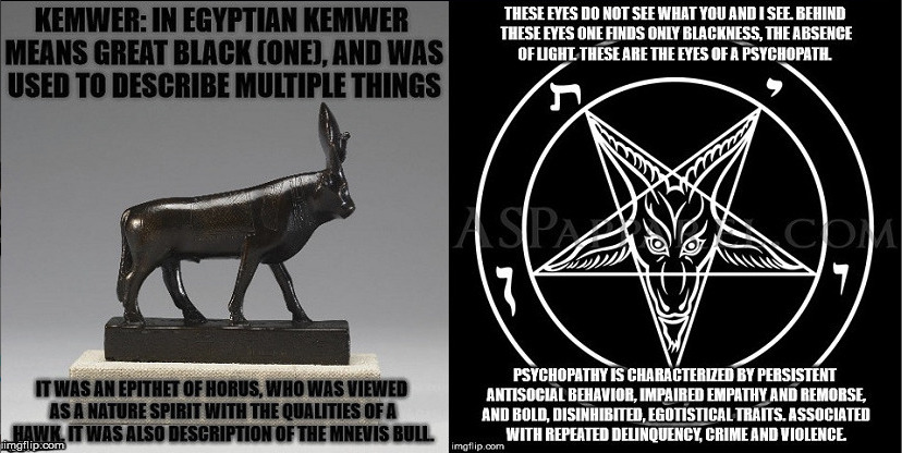 Kemwer-Psychopath | image tagged in kemwer,psychopath | made w/ Imgflip meme maker