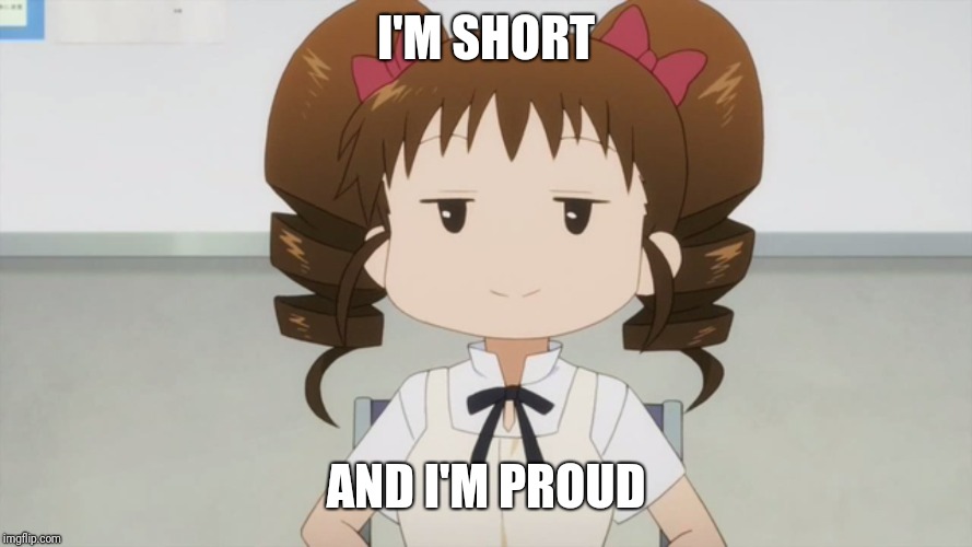Funfact: I'm Not That Short | I'M SHORT; AND I'M PROUD | image tagged in anime | made w/ Imgflip meme maker