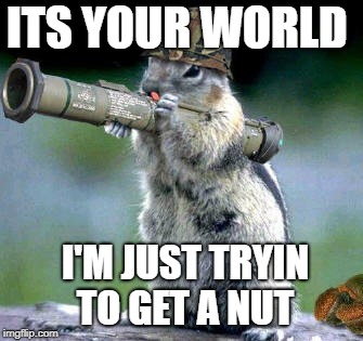 Bazooka Squirrel Meme | ITS YOUR WORLD; I'M JUST TRYIN TO GET A NUT | image tagged in memes,bazooka squirrel | made w/ Imgflip meme maker