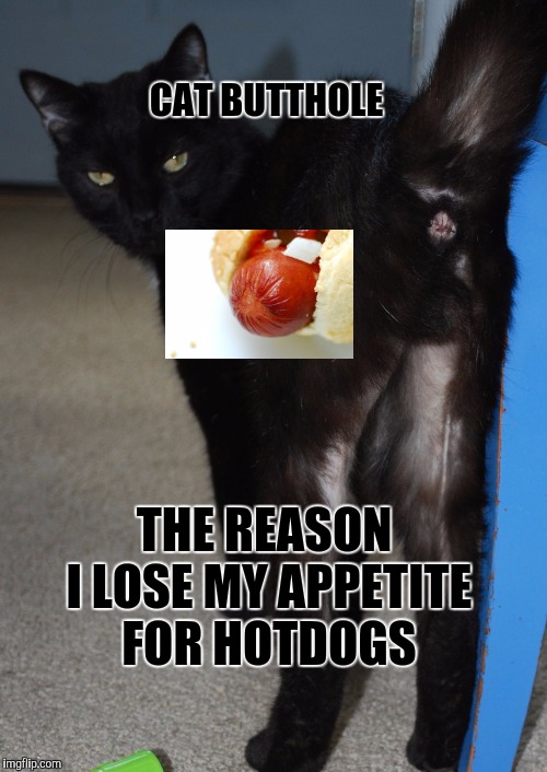 the similarity | CAT BUTTHOLE; THE REASON I LOSE MY APPETITE FOR HOTDOGS | image tagged in cats,asshole,hotdogs | made w/ Imgflip meme maker