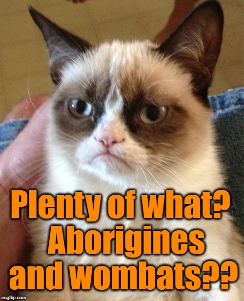 Grumpy Cat Meme | Plenty of what?  Aborigines and wombats?? | image tagged in memes,grumpy cat | made w/ Imgflip meme maker