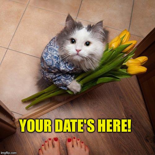 YOUR DATE'S HERE! | made w/ Imgflip meme maker