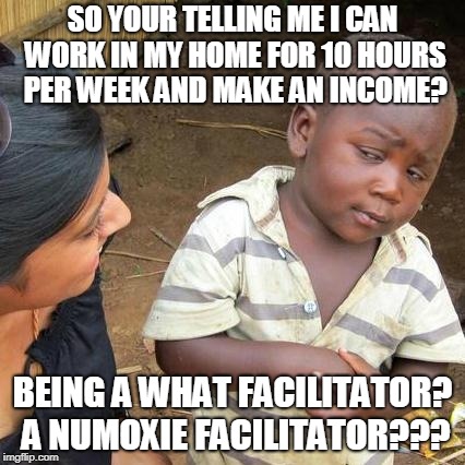 Third World Skeptical Kid Meme | SO YOUR TELLING ME I CAN WORK IN MY HOME FOR 10 HOURS PER WEEK AND MAKE AN INCOME? BEING A WHAT FACILITATOR?  A NUMOXIE FACILITATOR??? | image tagged in memes,third world skeptical kid | made w/ Imgflip meme maker