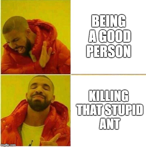 Drake Hotline approves | BEING A GOOD PERSON; KILLING THAT STUPID ANT | image tagged in drake hotline approves | made w/ Imgflip meme maker