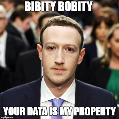 Zucc | BIBITY BOBITY; YOUR DATA IS MY PROPERTY | image tagged in zucc | made w/ Imgflip meme maker