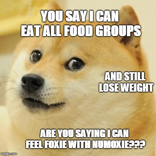 Doge | YOU SAY I CAN EAT ALL FOOD GROUPS; AND STILL LOSE WEIGHT; ARE YOU SAYING I CAN FEEL FOXIE WITH NUMOXIE??? | image tagged in memes,doge | made w/ Imgflip meme maker