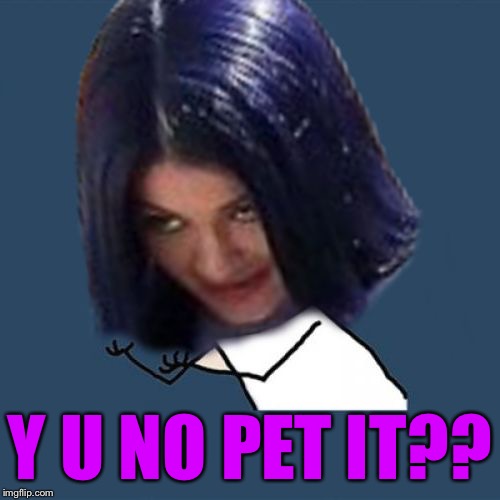 Kylie Y U No | Y U NO PET IT?? | image tagged in kylie y u no | made w/ Imgflip meme maker