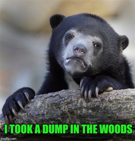 Confession Bear Meme | I TOOK A DUMP IN THE WOODS | image tagged in memes,confession bear | made w/ Imgflip meme maker