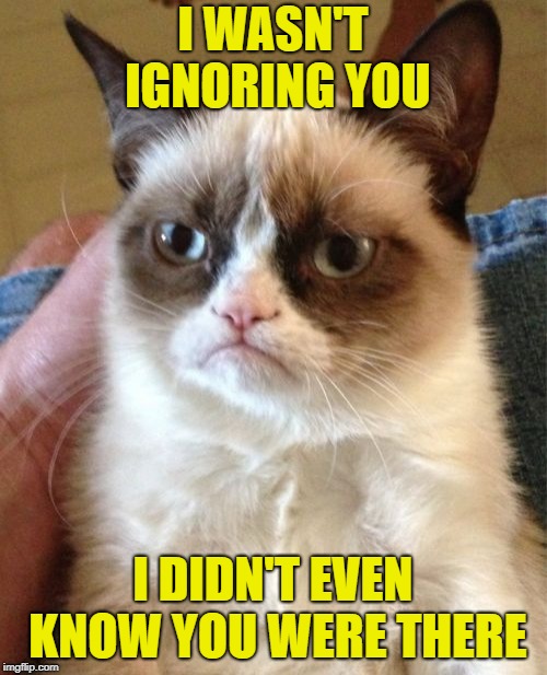 Grumpy Cat Meme | I WASN'T IGNORING YOU I DIDN'T EVEN KNOW YOU WERE THERE | image tagged in memes,grumpy cat | made w/ Imgflip meme maker