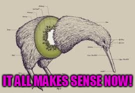 It All Makes Sense! | IT ALL MAKES SENSE NOW! | image tagged in kiwi | made w/ Imgflip meme maker