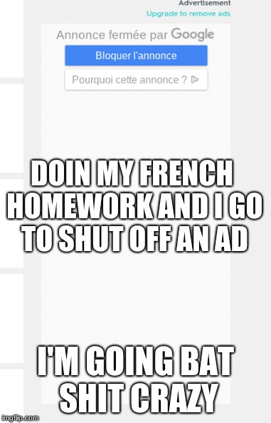 Help me?!?! | DOIN MY FRENCH HOMEWORK AND I GO TO SHUT OFF AN AD; I'M GOING BAT SHIT CRAZY | image tagged in memes,funny,french,homework,crazy | made w/ Imgflip meme maker