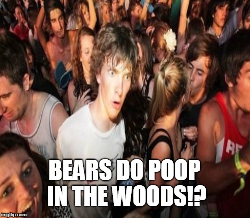 BEARS DO POOP IN THE WOODS!? | made w/ Imgflip meme maker