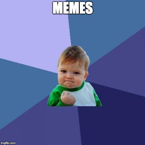 Success Kid Meme | MEMES | image tagged in memes,success kid | made w/ Imgflip meme maker