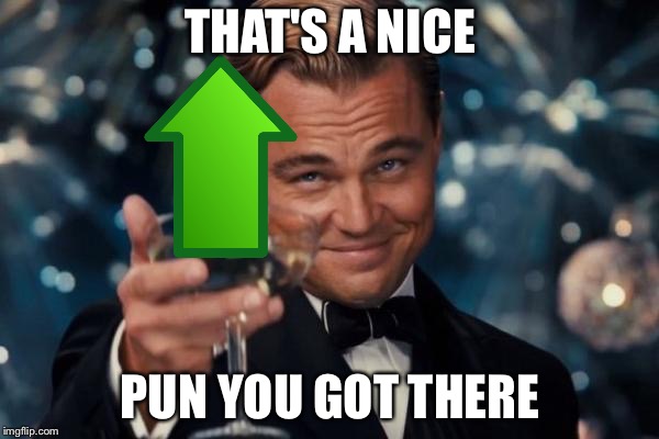 Leonardo Dicaprio Cheers Meme | THAT'S A NICE PUN YOU GOT THERE | image tagged in memes,leonardo dicaprio cheers | made w/ Imgflip meme maker