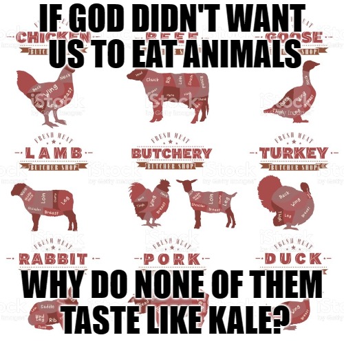 Animals not Kale | IF GOD DIDN'T WANT US TO EAT ANIMALS; WHY DO NONE OF THEM TASTE LIKE KALE? | image tagged in meat,vegan,kale,god | made w/ Imgflip meme maker