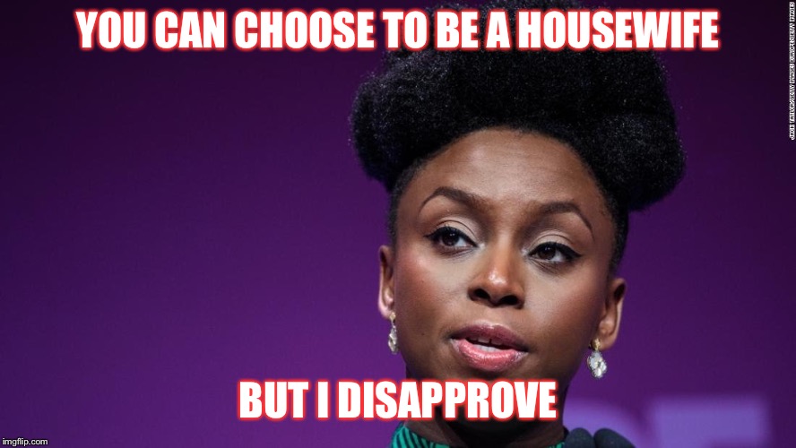 YOU CAN CHOOSE TO BE A HOUSEWIFE; BUT I DISAPPROVE | image tagged in feminista | made w/ Imgflip meme maker